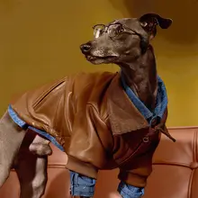 秋冬用ペット厚手ジャケット【犬・猫用・防寒・リード付き】