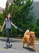 アイリス 犬用 ペット用ハーネス【大型犬対応・テディ用・リード付き】