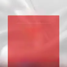 桑蚕丝製 ブラジャー
