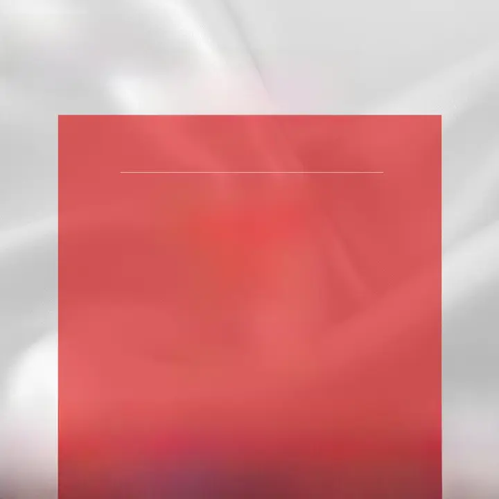 桑蚕丝製 ブラジャー