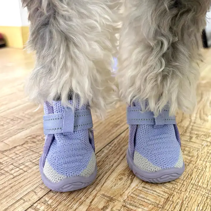 小型犬用ソフト底シューズ【通気性メッシュ・防滑・夏用】