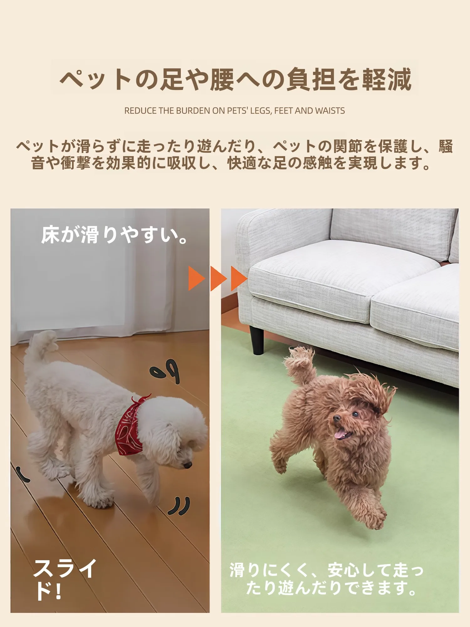 犬のベッドに滑りやすいのはなぜ？防滑マットで安心に暮らすための選び方