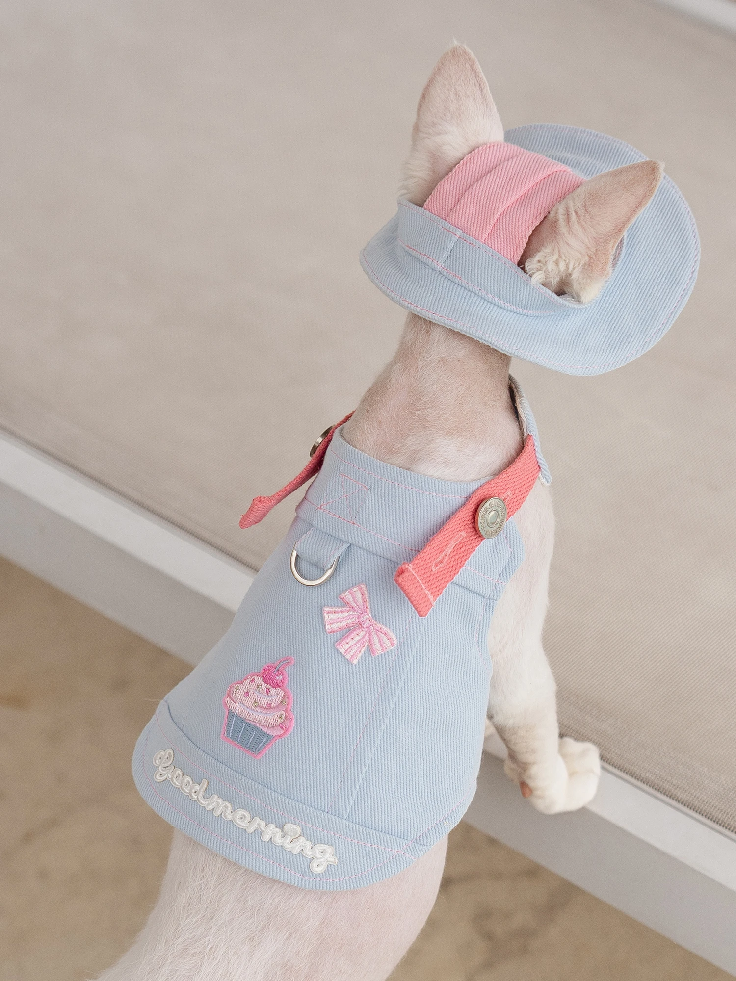 アイスクリーム柄 キャットハーネス：一人暮らしの猫に最適な無毛猫用装着アイテム