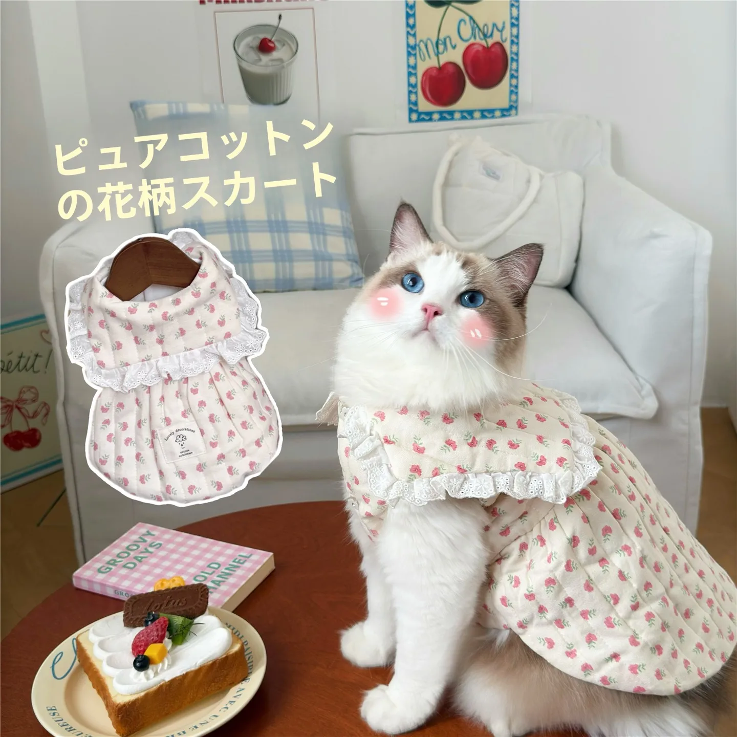 猫飼いが買ってよかったもの・悪かったもの正直に言う｜秋冬服選びの徹底解説