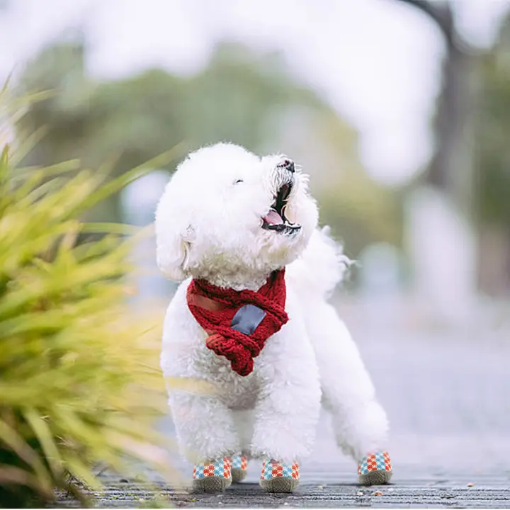 犬用サンダル【夏用・通気性・小型犬・防滑デザイン】