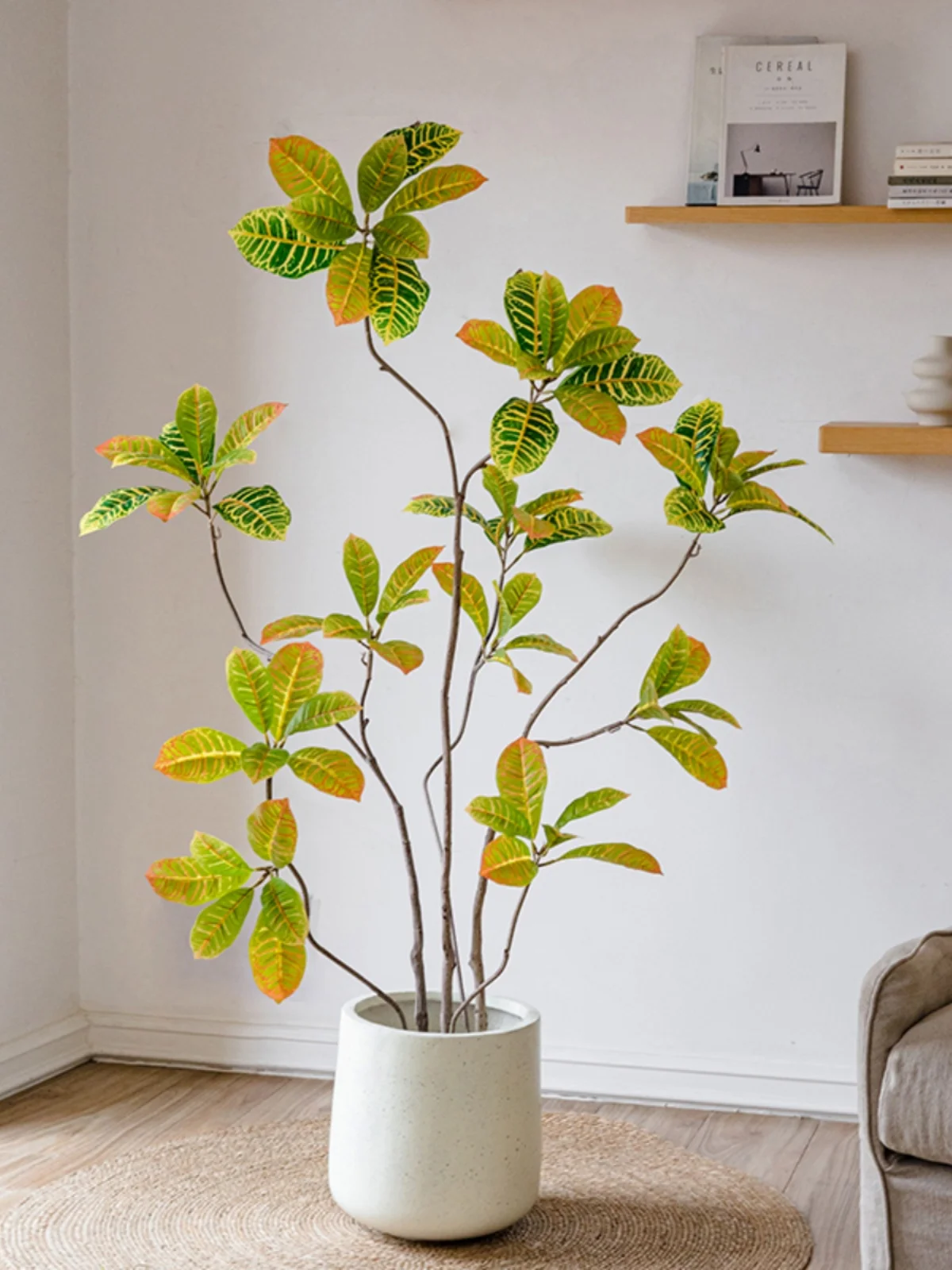 世話が苦手な人でも育てやすい観葉植物は、実 は「リアルなフェイクグリーン」がベスト？