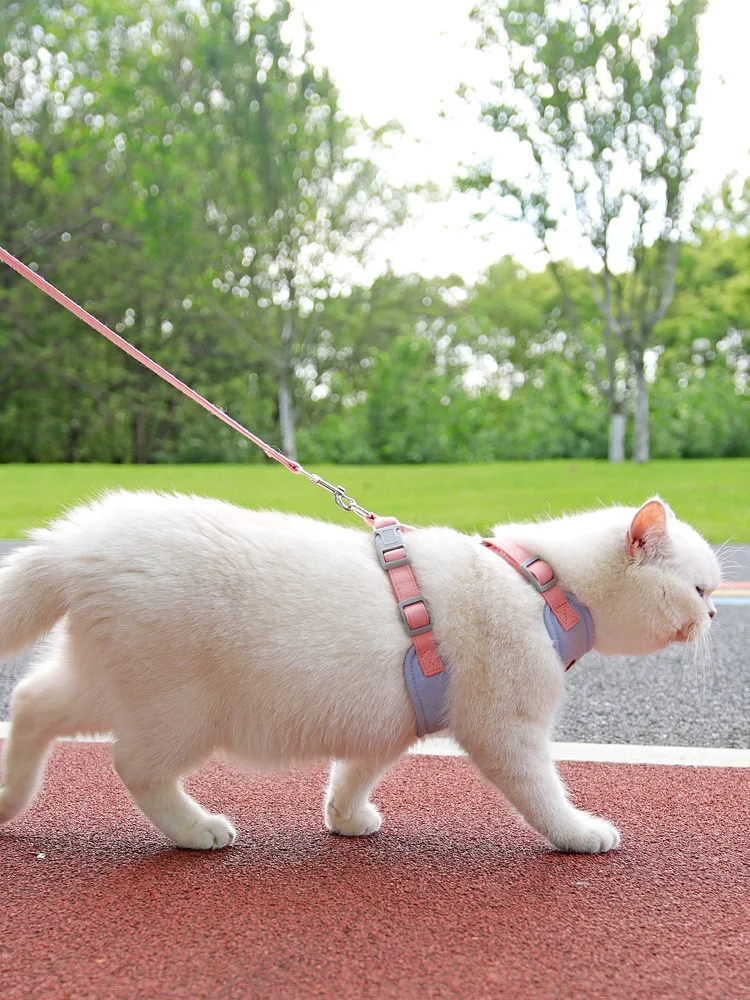猫飼いが買ってよかったもの・悪かったもの正直に言う：猫用ハーネスリードの実用性とサイズ推奨