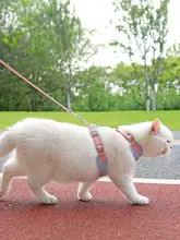 猫用ハーネスリード【脱走防止・背中式・小型猫用・イギリス短毛種対応】