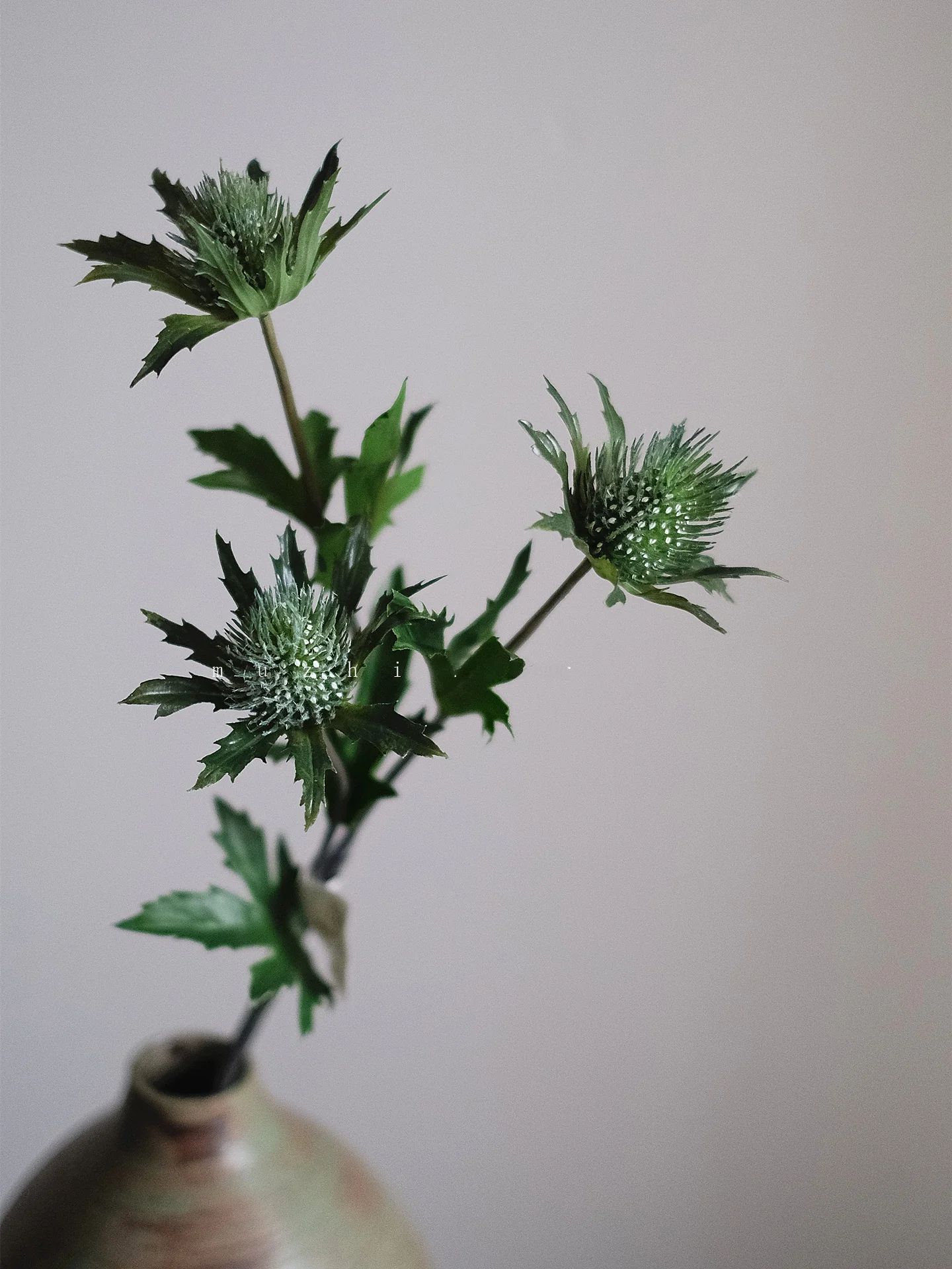リアルなディル風花束で空間を彩るには？人工観葉植物の選び方を徹底解説
