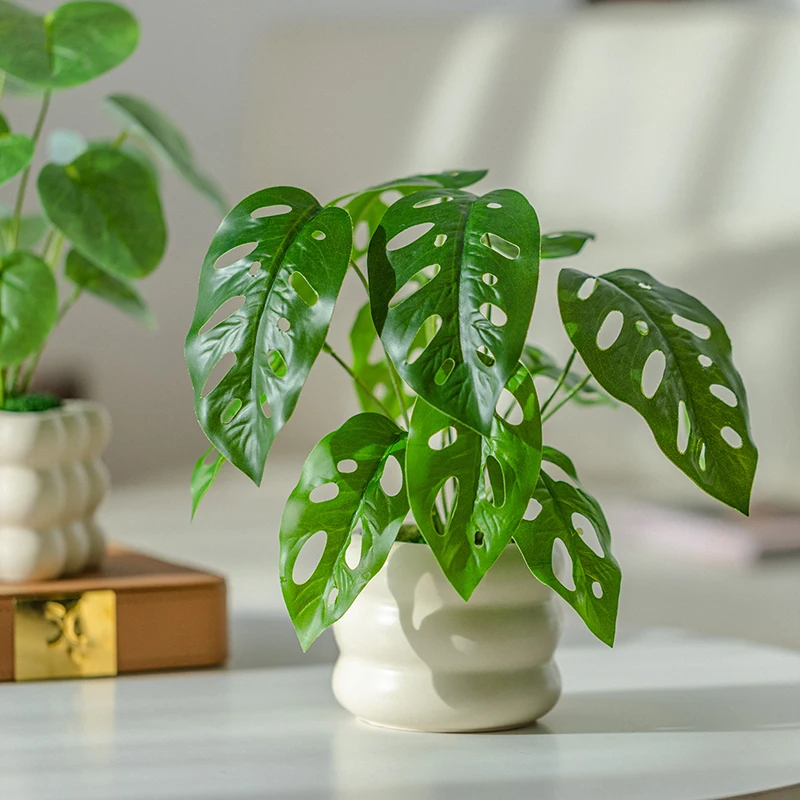 一人暮らし新生活をだけで揃えたら総額いくら？リアルな質感ミニ鉢で心の落ち着きを実現