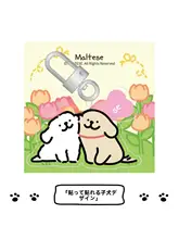 可愛らしいアクリル製の犬型キーホルダー【誕生日プレゼント・カップル向け・バッグチャーム】