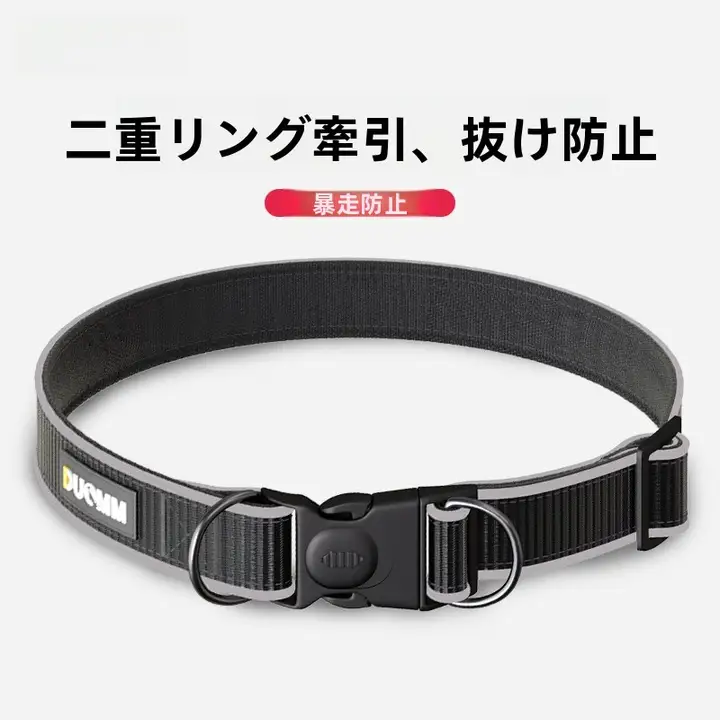反射素材の犬用首輪【ナイロン製・中小型犬用・リード付き】