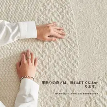 高級感漂うリビング用ラグ【汚れに強く、メンテナンスも簡単】