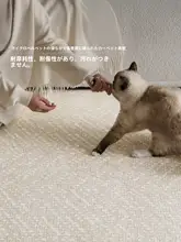 洗える二重構造ラグ【リビング・寝室用・防猫爪・高級感】