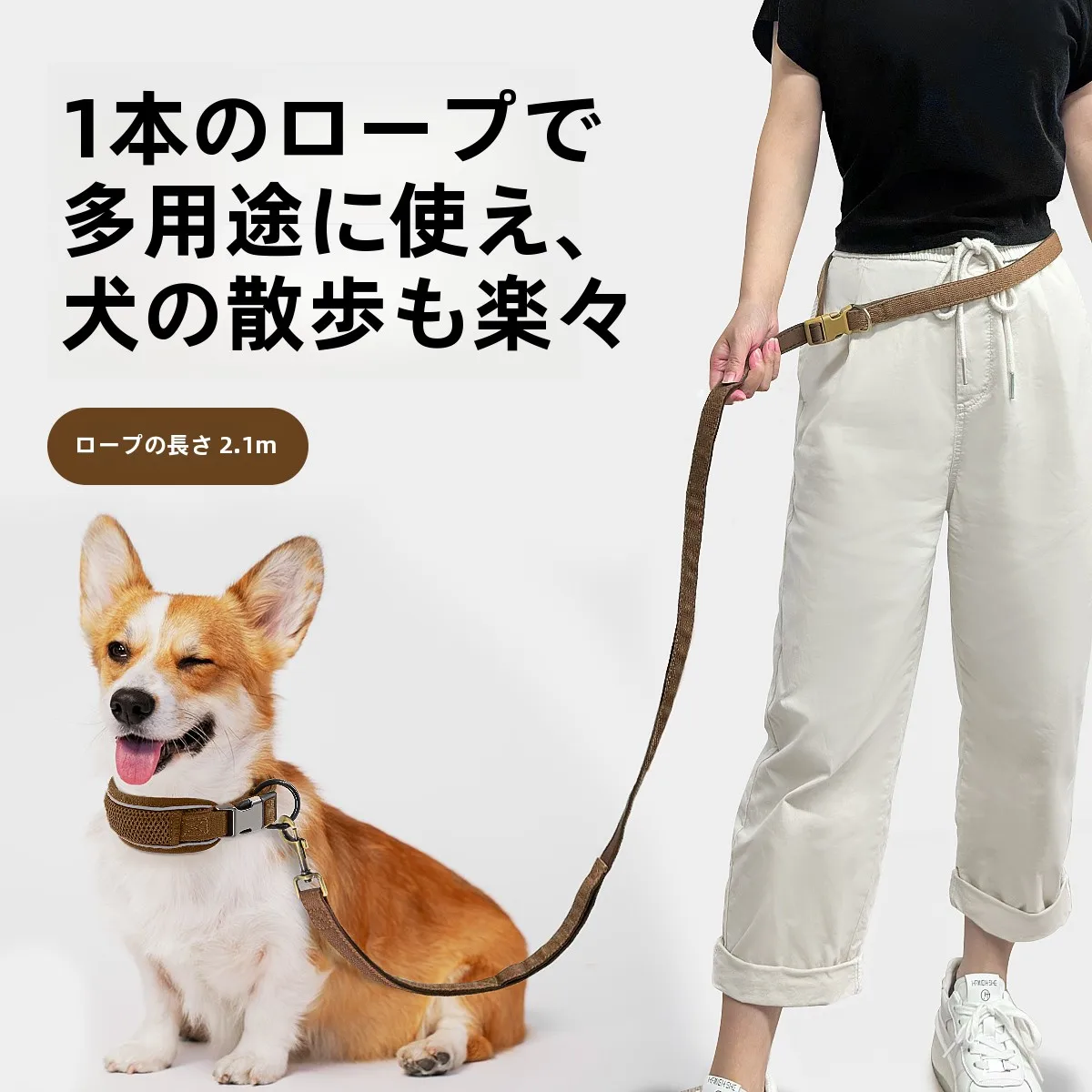 見つけたデイリー雑貨まとめ｜春の季節感とペットライフを演出する実用性あるアイテムの徹底解説