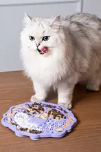 ペット用シリコン食事プレート【犬・猫用・遅食用・舐めるおもちゃ】