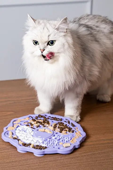 ペット用シリコン食事プレート【犬・猫用・遅食用・舐めるおもちゃ】