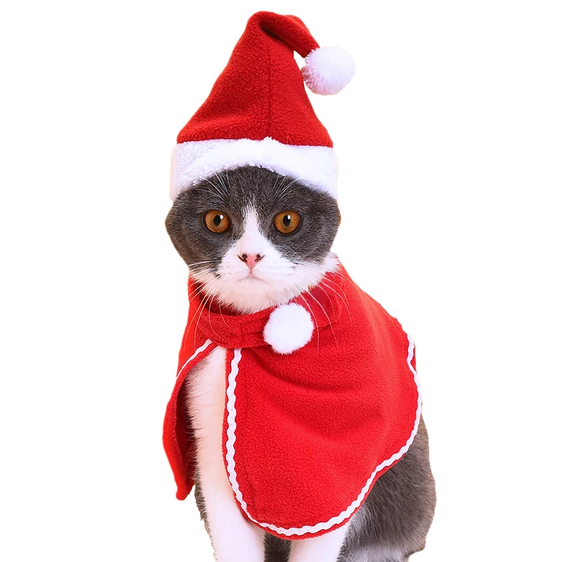 猫飼いが買ってよかったもの・悪かったもの正直に言う｜帽子がもたらす心の余裕