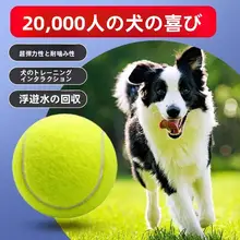 ペット用耐噛みボール【トレーニング・マッサージ・ゴム製】