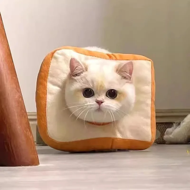 ペット用エリザベスカラー：マンションにペットを飼うための安全な保護具