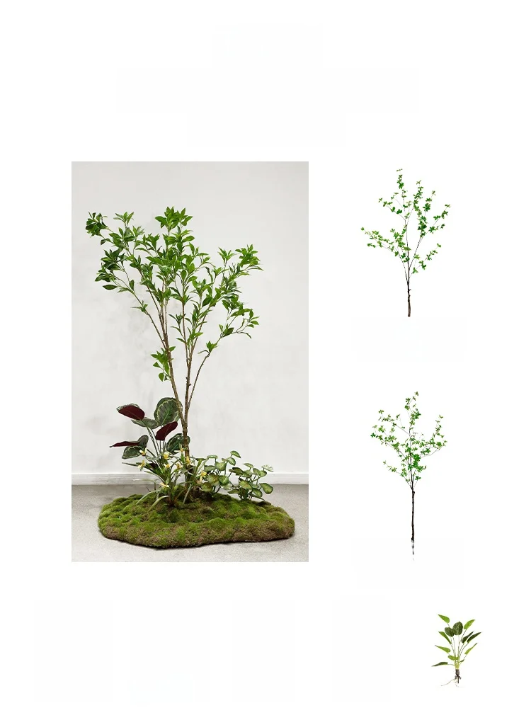 ハエトリグサの花を庭に植える前に、この「フェイクグリーン」が教えてくれたこと