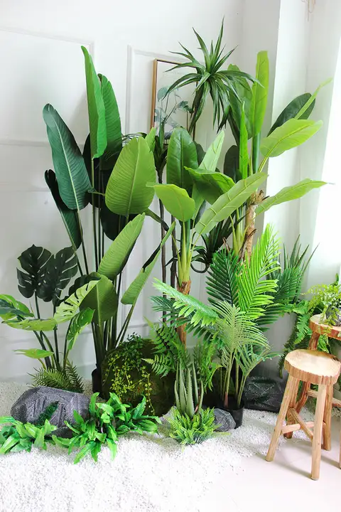 大型 観葉植物 トラベラーズバナナ モンステラ インテリア デコレーション