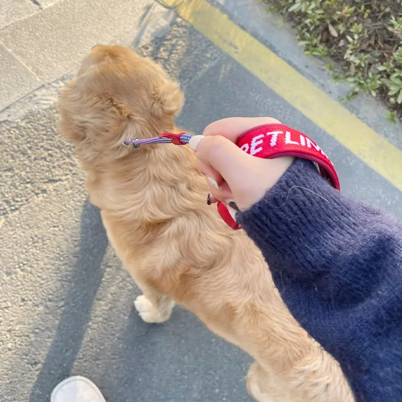 小型犬用リード：防衝撃設計で首に優しい散歩サポート