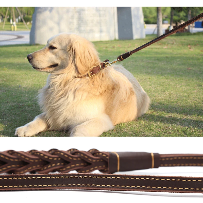 犬のお散歩グッズをコスパ良く揃える方法　リード選びの実測ガイド