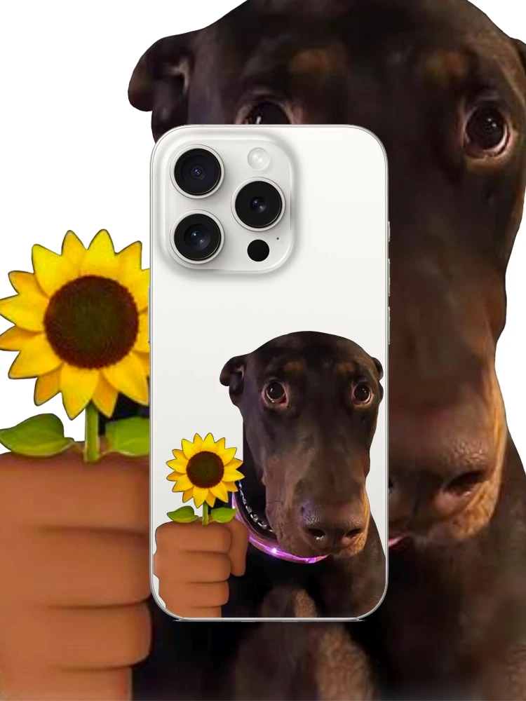 犬 iPhoneケースの取り入れ方は？5選でペットとの暮らしをもっと豊かに
