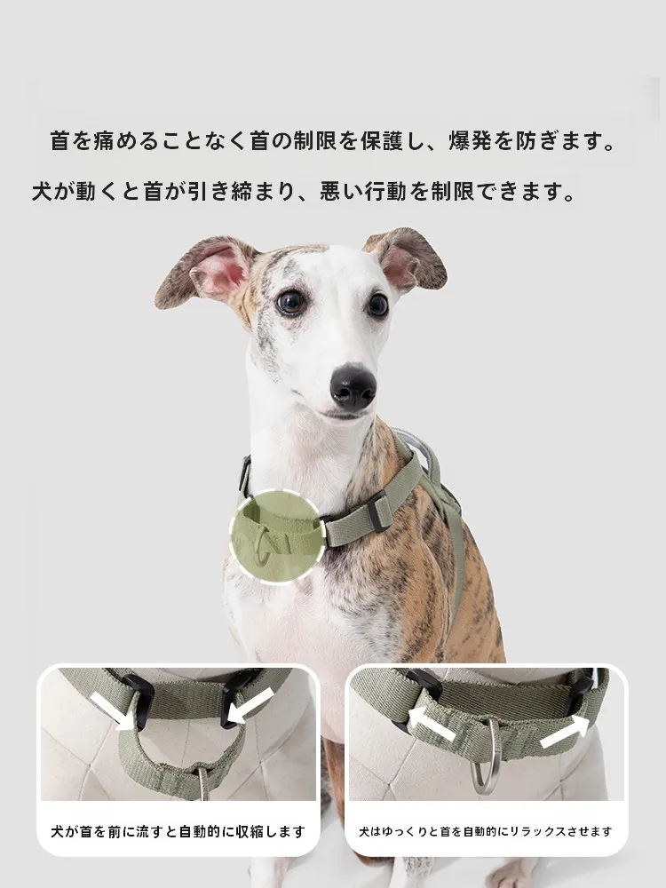 犬のお散歩グッズをコスパ良く揃える方法｜通気性と防爆機能が評価される胸ハーネスの選び方