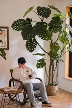 バイオミミクリー室内植物 リビングオフィス向け グリーン 陶器装飾品