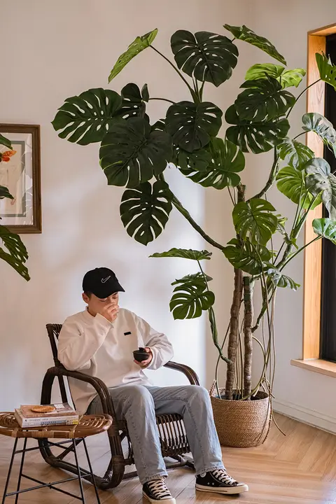 バイオミミクリー室内植物 リビングオフィス向け グリーン 陶器装飾品