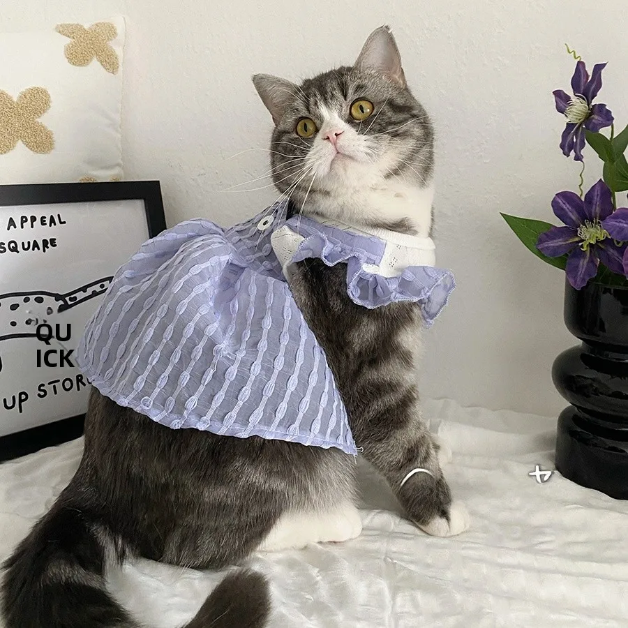 猫カフェデートで着る服は、コスプレみたいにしなくていい？