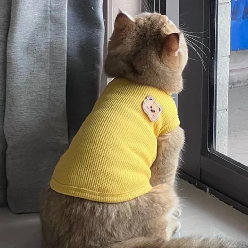 猫飼いが買ってよかったもの・悪かったもの正直に言う｜夏の猫服選びの完全ガイド