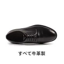 Howar Wilf メンズビジネスカジュアルレザーシューズ【内縫い・ドレスデザイン・尖ったトウ】