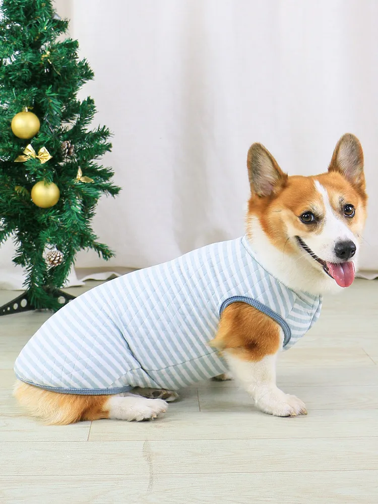 小型犬服の選び方：全棉素材で抜け毛防止の背心が実用性を実証