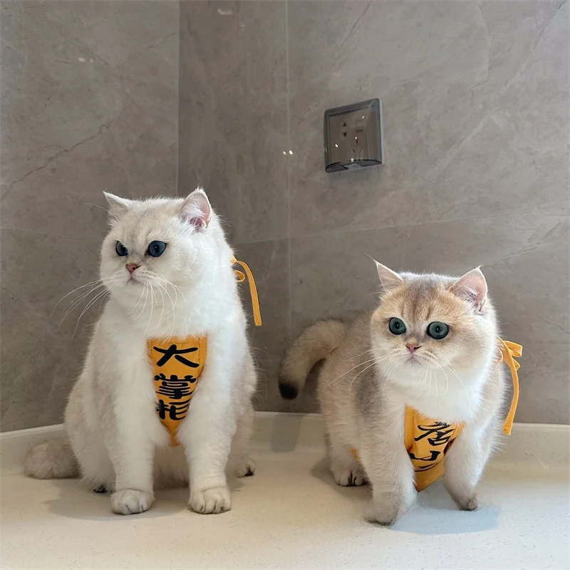 おおかみかくしとペットエプロン、どちらが心を癒すのか？