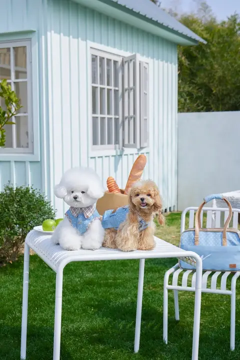 春用 デニムベスト【小型犬・リード対応・ビション・シュナウザー用】