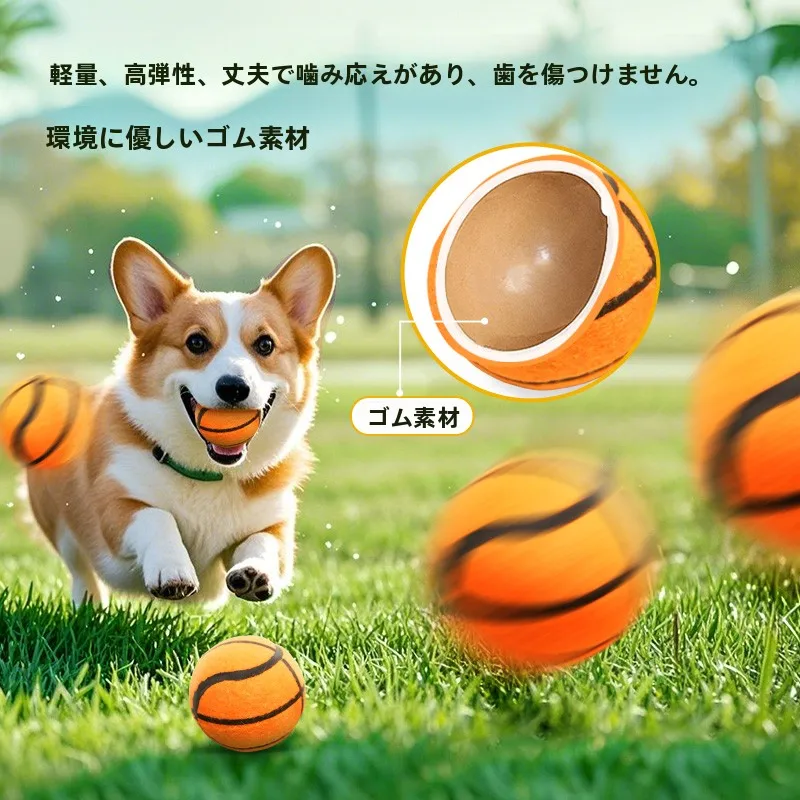 犬のお散歩グッズをコスパ良く揃える方法｜音が出る3点セットボールの実用性徹底解説