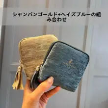 携帯便利なファスナー付きアクセサリー収納ポーチ【旅行用・内袋付き】