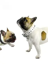 犬用首輪 本革 カーフスキン ハンドメイド イタリア製 サイズ調整可能 「UnitedPets」