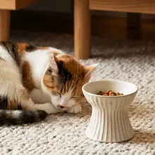 ヴィンテージ風の高脚ペットボウル【粗陶製・猫用・首を支えるデザイン・転倒防止】