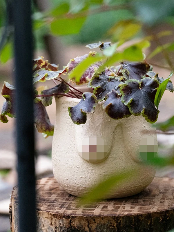 北欧風アート花器：ほったらかしで毎年咲く花を育てるための収納型プランター