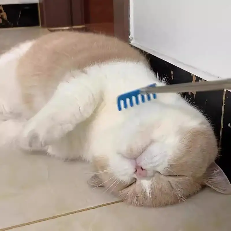 お 迎え棒を選ぶべきタイミングは？実は猫のストレス解消に最適なアイテムが見つかった