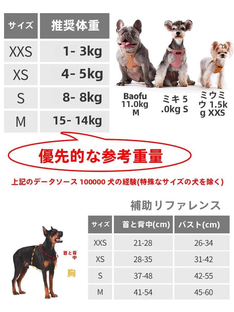 犬のお散歩グッズをコスパ良く揃える方法｜調整可能なハーネス型リードの選び方完全ガイド