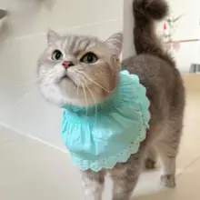 ペット用エプロン【猫・犬用・防水・食事用・舐め防止】