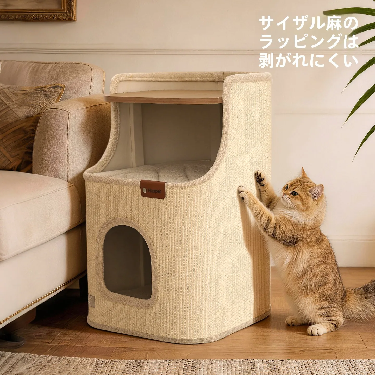 猫のためのベッドは、本当に「夏」にぴったりなの？