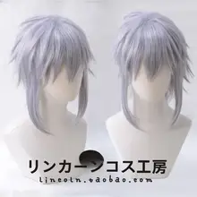 銀灰色のキャラクターコスプレウィッグ【ロングサイドテール・王国の心】