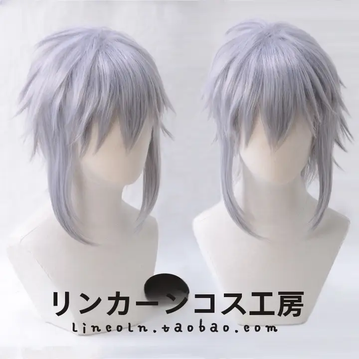 銀灰色のキャラクターコスプレウィッグ【ロングサイドテール・王国の心】