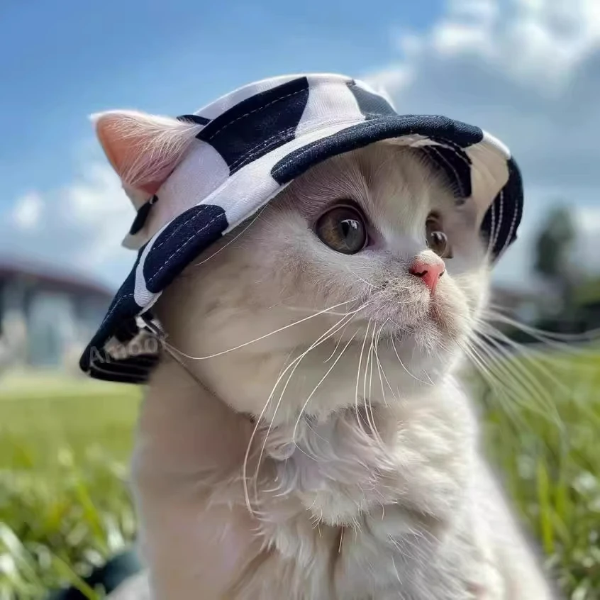 50代の男性が選ぶ、オシャレな帽子とは？猫耳付きハットで夏のスタイルを変える